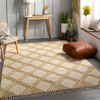 Livabliss Bedouin BDO-2315 Global Hand Woven Area Rugs