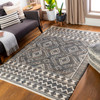 Livabliss Cadence CEC-2300 Global Hand Woven Area Rugs