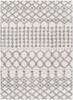 Surya Deluxe Shag DXS-2312 Global Machine Woven Area Rugs