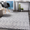 Surya Deluxe Shag DXS-2313 Global Machine Woven Area Rugs