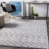Livabliss Deluxe Shag DXS-2313 Global Machine Woven Area Rugs