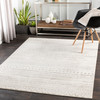 Surya Pisa PSS-2304 Global Machine Woven Area Rugs