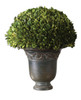 Uttermost Globe Preserved Boxwood