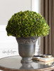 Uttermost Globe Preserved Boxwood