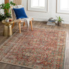 Livabliss Amelie AML-2353 Traditional Machine Woven Area Rugs