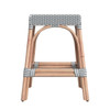 Robias 24.5"  Grey Rectangular Rattan Counter Stool