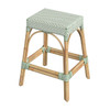 Tobias 24.5" Rattan White And Green Counter Stool