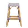 Tobias 24.5" Rattan White And Purple Counter Stool