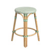 Tobias 24" White And Green Rattan Round Counter Stool