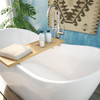 Dreamline Nile 59 In. L X 28 In. H Acrylic Freestanding Bathtub With Chrome Finish BTNL5928FFXXC01
