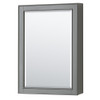 Deborah 48 Inch Single Bathroom Vanity In Dark Gray, No Countertop, No Sink, Matte Black Trim, Medicine Cabinet