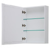 Daria 36 Inch Single Bathroom Vanity In White, No Countertop, No Sink, Matte Black Trim, Medicine Cabinet