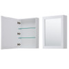 Daria 48 Inch Single Bathroom Vanity In White, No Countertop, No Sink, Medicine Cabinet, Brushed Gold Trim