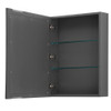 Daria 80 Inch Double Bathroom Vanity In Dark Gray, No Countertop, No Sink, And Medicine Cabinets