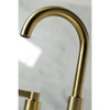 Kingston Brass Nuvofusion Widespread Bathroom Faucets FSC892XNDL-P