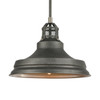 Elk Home Carbondale 1-Light Pendant - 14545/1