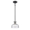 Elk Home Orinoco 1-Light Mini Pendant - 67915/1