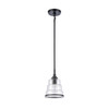 Elk Home Boyer 1-Light Mini Pendant - 82164/1