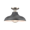 Elk Home Grenville 1-Light Semi Flush Mount - 89254/1