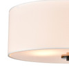 Elk Home Oakland 2-Light Semi Flush Mount - CN290286