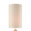 Elk Home Husk 1-Light Floor Lamp - D4554