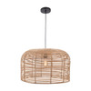 Elk Home Basco 1-Light Pendant - H0118-8600