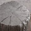 Uttermost Cambium Silver Tree Stump Stool