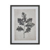 Elk Home Oak Botanic Wall Art - S0056-10635