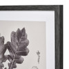 Elk Home Oak Botanic Wall Art - S0056-10636