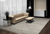 Dynamic Zahara Machine-made 4412 Grey/charcoal Area Rugs