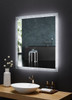 Frysta 30 In. X 40 In. Led Frameless Rectangular Mirror With Dimmer And Defogger