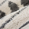 Amer Rugs Aspen Clara ASP-3 Cream/Black Shag Area Rugs