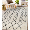 Amer Rugs Aspen Clara ASP-5 Cream/Gray Shag Area Rugs