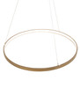 Meyda 48" Wide Anillo Halo Pendant