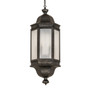 Meyda 18" Wide Gascony Lantern Pendant