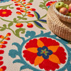 Nourison Aloha ALH17 Multicolor Area Rugs