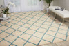 Nourison Brisbane BRI08 Ivory/aqua Area Rugs