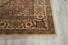 Nourison Persian Arts BD03 Ivory Area Rugs