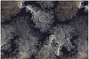Dalyn Seabreeze SZ3 Black Machine Made Area Rugs