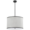 Dainolite 4lt Incan Pendant, Mb W/ Wh Pleated Shade - PRD-243P-MB