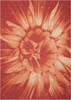 Nourison Coastal CSTL2 Red Area Rugs