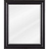 20" W X 1" D X 24" H Douglas Mirror