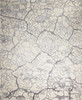 Nourison Divine DIV06 Ivory Area Rugs