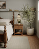 Momeni Oliver OLI-1 Natural Hand Loomed Area Rugs