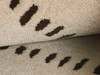 Momeni Simba SIM-1 Ivory Hand Tufted Area Rugs