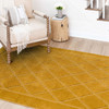 Lifestyle Marigold Machine Tufted Polyester Area Rugs