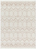 Surya New Delhi NWH-2305 Global Machine Woven Area Rugs