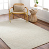 Surya Totenham TTH-2302 Modern Hand Woven Area Rugs