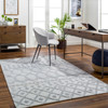 Livabliss Napoli NPO-2302 Global Hand Woven Area Rugs