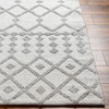 Livabliss Napoli NPO-2302 Global Hand Woven Area Rugs